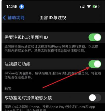 朝阳苹果14维修网点分享iPhone14注视感知功能有什么用 