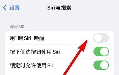 朝阳苹果13维修分享iPhone 13怎么唤醒 Siri  
